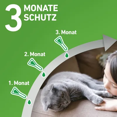 Diagramm zeigt Schutz für 3 Monate mit monatlicher Anwendung. Katze liegt auf Sofa, Text: '1. Monat', '2. Monat', '3. Monat'.