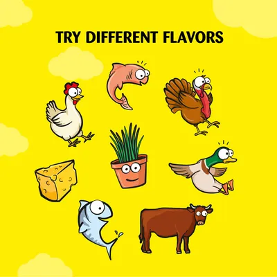 Try different flavours: chicken, salmon, turkey, cheese, grass, duck, fish and beef shown as cartoon images.