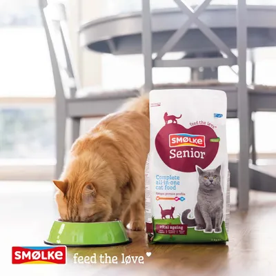 SMØLKE Senior Complete all-in-one cat food, vital ageing, unique protein profile. Katze frisst aus grünem Napf. Schriftzug: feed the love. SMØLKE Senior Complete all-in-one cat food, vital ageing, unique protein profile. Katze frisst aus grünem Napf. Schriftzug: feed the love.