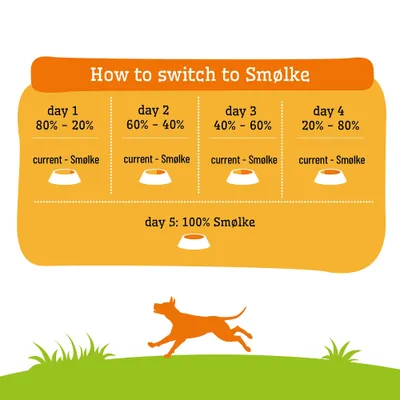 Switching food to Smølke: Day 1 80%-20%, Day 2 60%-40%, Day 3 40%-60%, Day 4 20%-80% current food-Smølke, Day 5: 100% Smølke. Switching food to Smølke: Day 1 80%-20%, Day 2 60%-40%, Day 3 40%-60%, Day 4 20%-80% current food-Smølke, Day 5: 100% Smølke.