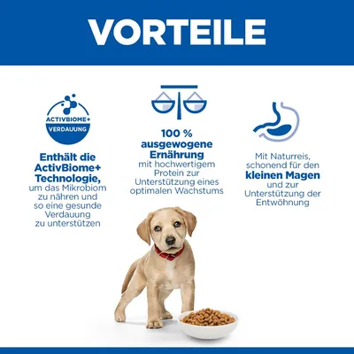 Hill's Science Plan Perfect Digestion Puppy Large mit Huhn & braunem Reis