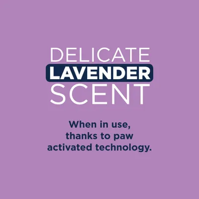 Ever Clean® Lavender arena aglomerante