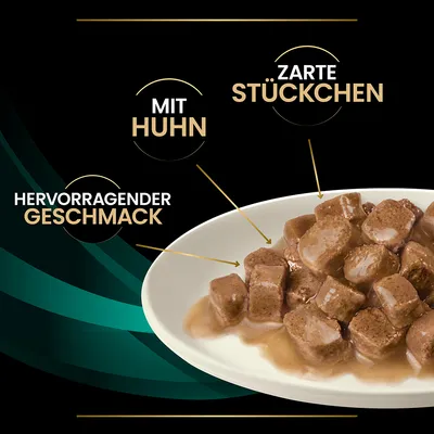 Texte en allemand : Mit Huhn, Zarte Stückchen, Hervorragender Geschmack. Morceaux de nourriture humide en sauce présentés dans une assiette blanche.
