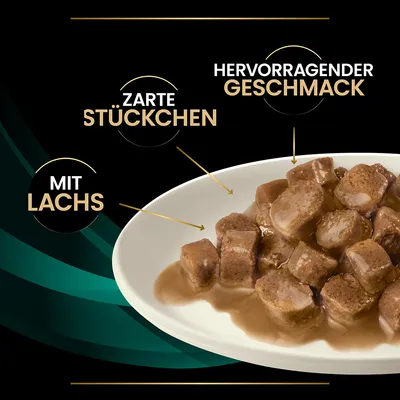 Zarte Stückchen mit Lachs in Sosse, hervorragender Geschmack. Produktbeschreibung für Nassfutter.