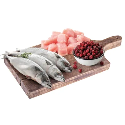 Trois poissons entiers, morceaux de viande crue rose et bol de petites baies rouges sur une planche en bois, ingrédients visibles pour alimentation animale.