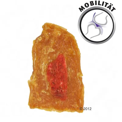 Snack per cani con parte centrale rossa, simbolo articolazione e testo tedesco 'Mobilität' in alto a destra.