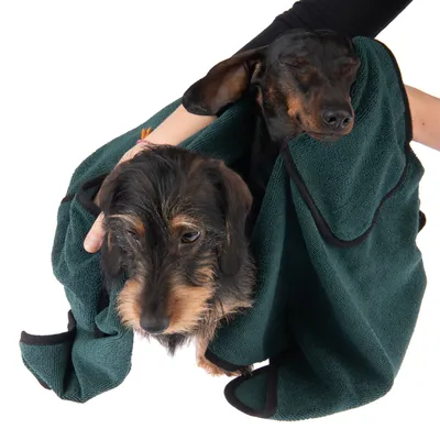 Dva psa zamotana u tamnozeleni ručnik, osoba ih drži rukama. Ručnik od tkanine vidljivih rubova, bez vidljivih marki ili natpisa.