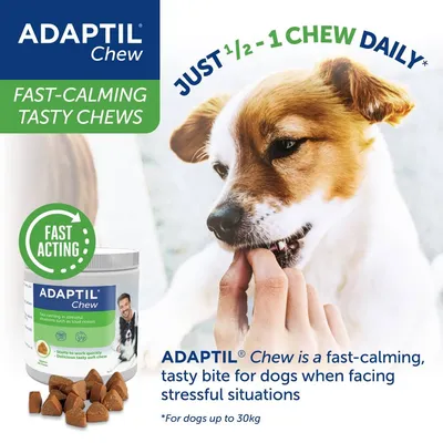 Adaptil Chew fast-calming chews for dogs, recommended dose is half to one chew daily. Fast acting, helps in stressful situations. For dogs up to 30kg.