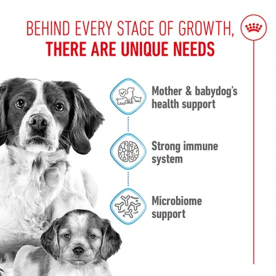 Graphic with text: Mother & babydog's health support, Strong immune system, Microbiome support. Two dogs depicted.