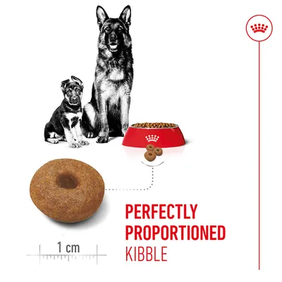Image of a dry food kibble ring with a 1 cm scale, two dogs and a food bowl. Text: Perfectly proportioned kibble.