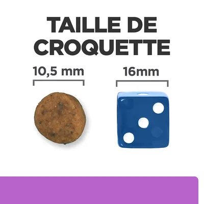 Taille de croquette : diamètre 10,5 mm comparé à un dé bleu de 16 mm. Texte visible : TAILLE DE CROQUETTE, 10,5 mm, 16 mm.