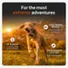 Weenect Pet GPS Tracker XT para cães, inclui coleira