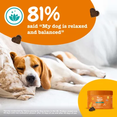 Zesty Paws Calming Chews puretina