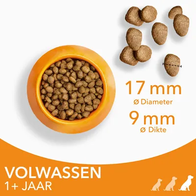 Droogvoerbrokken in oranje bak, brokgrootte: diameter 17 mm, dikte 9 mm. Tekst: VOLWASSEN 1+ JAAR. Voorbeeld van brokvorm en afmetingen voor volwassen honden.