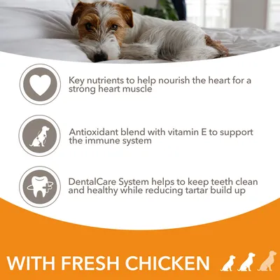 Key nutrients to help nourish the heart for a strong heart muscle. Antioxidant blend with vitamin E to support the immune system. DentalCare System helps to keep teeth clean and healthy while reducing tartar build up. WITH FRESH CHICKEN (κείμενο στα αγγλικά).
