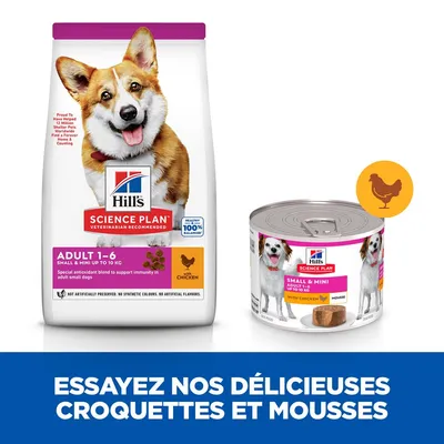 Hill's Science Plan Adult 1–6 Small & Mini jusqu’à 10 kg croquettes et mousse pour chien, saveur poulet, emballages visibles. Texte : Essayez nos délicieuses croquettes et mousses.