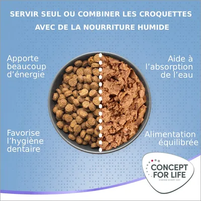 Concept for Life X-Large Junior pour chien