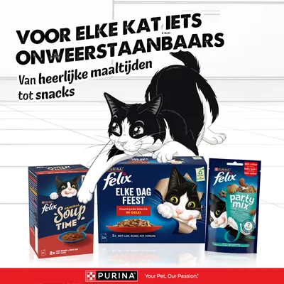 PURINA Felix kattenvoer: Soup Time, Elke Dag Feest en Party Mix. Voor elke kat iets onweerstaanbaars. Van heerlijke maaltijden tot snacks. PURINA Felix kattenvoer: Soup Time, Elke Dag Feest en Party Mix. Voor elke kat iets onweerstaanbaars. Van heerlijke maaltijden tot snacks.