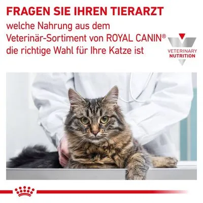 Fragen Sie Ihren Tierarzt, welche Nahrung aus dem Veterinär-Sortiment von Royal Canin die richtige Wahl für Ihre Katze ist. Veterinary Nutrition Logo sichtbar.