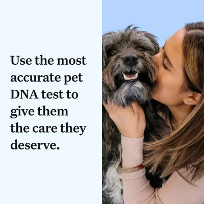 Text reads: Use the most accurate pet DNA test to give them the care they deserve. Image shows a person holding a dog.