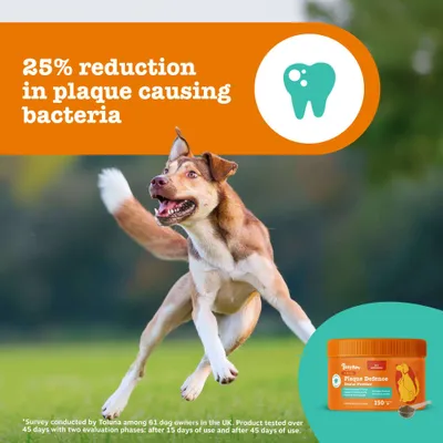 25% reduktion af plakdannende bakterier. Produktbillede af Plaque Defence Dental Powder, 150 g dåse. 25% reduktion af plakdannende bakterier. Produktbillede af Plaque Defence Dental Powder, 150 g dåse.