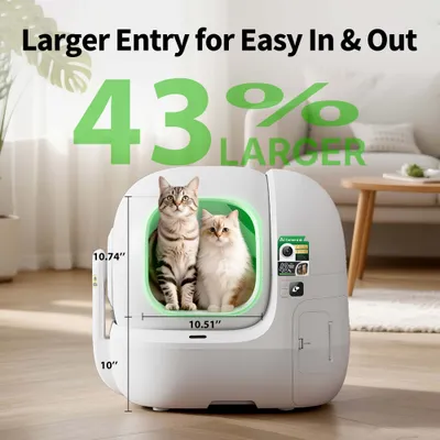 Katzen in Katzentoilette mit großer Öffnung, Maße 10,74 x 10,51 Zoll. Text: 43% größerer Einstieg für einfaches Rein- und Rausgehen. Katzen in Katzentoilette mit großer Öffnung, Maße 10,74 x 10,51 Zoll. Text: 43% größerer Einstieg für einfaches Rein- und Rausgehen.