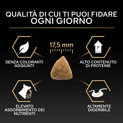 Dimensione delle crocchette 17,5 mm, senza coloranti, alto contenuto proteico, elevato assorbimento dei nutrienti, facilmente digeribile. Testo: Qualità di cui puoi fidarti ogni giorno.