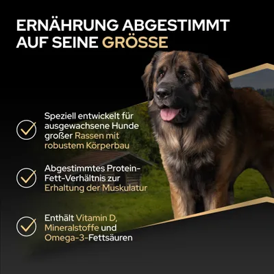 Ernährung abgestimmt auf Größe: Für ausgewachsene Hunde großer Rassen mit robustem Körperbau, Protein-Fett-Verhältnis zur Muskelerhaltung, enthält Vitamin D, Mineralstoffe und Omega-3-Fettsäuren. Ernährung abgestimmt auf Größe: Für ausgewachsene Hunde großer Rassen mit robustem Körperbau, Protein-Fett-Verhältnis zur Muskelerhaltung, enthält Vitamin D, Mineralstoffe und Omega-3-Fettsäuren.