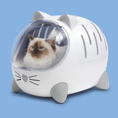 White carrier with a transparent viewing window, containing a cat. The carrier features cat-shaped details and ventilation slots on the sides.