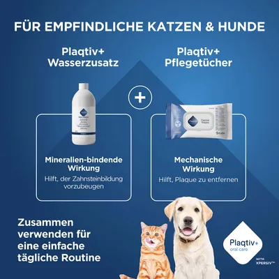 Plaqitv+ Wasserzusatz und Pflegetücher für Katzen und Hunde. Mineralien-bindende Wirkung gegen Zahnstein, mechanische Wirkung zur Plaque-Entfernung. Für tägliche Routine. Plaqitv+ Wasserzusatz und Pflegetücher für Katzen und Hunde. Mineralien-bindende Wirkung gegen Zahnstein, mechanische Wirkung zur Plaque-Entfernung. Für tägliche Routine.
