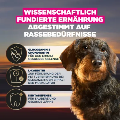 Wissenschaftlich fundierte Ernährung, abgestimmt auf Rassebedürfnisse. Glucosamin & Chondroitin für Gelenke, L-Carnitin für Muskulatur, Dentadefense für gesunde Zähne. Wissenschaftlich fundierte Ernährung, abgestimmt auf Rassebedürfnisse. Glucosamin & Chondroitin für Gelenke, L-Carnitin für Muskulatur, Dentadefense für gesunde Zähne.