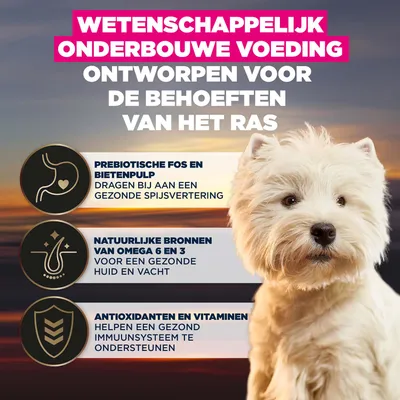 Wetenschappelijk onderbouwde voeding, ontwikkeld voor de behoeften van het ras. Met prebiotische FOS en bietenpulp, omega 6 en 3, antioxidanten en vitaminen. Wetenschappelijk onderbouwde voeding, ontwikkeld voor de behoeften van het ras. Met prebiotische FOS en bietenpulp, omega 6 en 3, antioxidanten en vitaminen.
