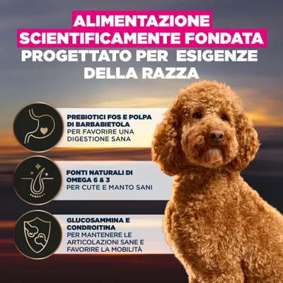 Alimentazione scientificamente studiata, sviluppata per le esigenze specifiche della razza. Con prebiotici e polpa di barbabietola, omega 6 & 3, glucosammina e condroitina secondo la descrizione dell'immagine. Alimentazione scientificamente studiata, sviluppata per le esigenze specifiche della razza. Con prebiotici e polpa di barbabietola, omega 6 & 3, glucosammina e condroitina secondo la descrizione dell'immagine.