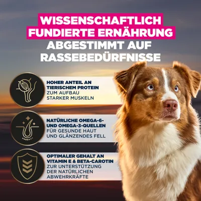 Wissenschaftlich fundierte Ernährung, abgestimmt auf Rassebedürfnisse. Hoher Anteil an tierischem Protein, Omega-6 und Omega-3, Vitamin E & Beta-Carotin für Abwehrkräfte. Wissenschaftlich fundierte Ernährung, abgestimmt auf Rassebedürfnisse. Hoher Anteil an tierischem Protein, Omega-6 und Omega-3, Vitamin E & Beta-Carotin für Abwehrkräfte.