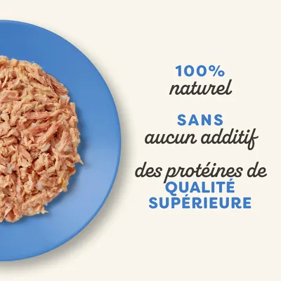 Applaws Cat Natural Sélection de poissons au bouillon 24 x 70 g - sélection de poissons (4 variantes)