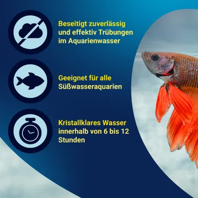 Beseitigt Trübungen im Aquarienwasser, geeignet für alle Süßwasseraquarien, kristallklares Wasser in 6 bis 12 Stunden. Beseitigt Trübungen im Aquarienwasser, geeignet für alle Süßwasseraquarien, kristallklares Wasser in 6 bis 12 Stunden.