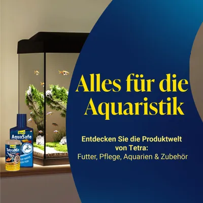 Alles für die Aquaristik. Entdecken Sie die Produktwelt von Tetra: Futter, Pflege, Aquarien & Zubehör. Alles für die Aquaristik. Entdecken Sie die Produktwelt von Tetra: Futter, Pflege, Aquarien & Zubehör.