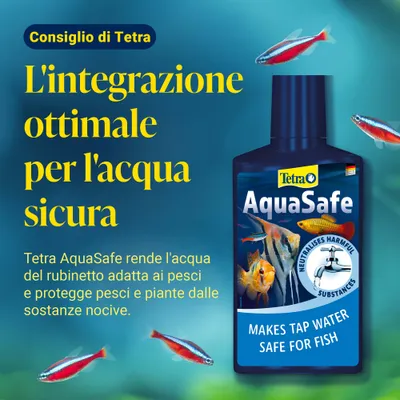 Tetra AquaSafe rende l'acqua del rubinetto adatta ai pesci e protegge pesci e piante dalle sostanze nocive. Integratore ottimale per un'acqua sicura.