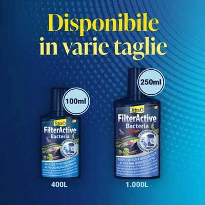 Tetra FilterActive Batteri disponibile in 100 ml per 400 L e 250 ml per 1.000 L. Mantiene il filtro biologicamente attivo e riduce i depositi.