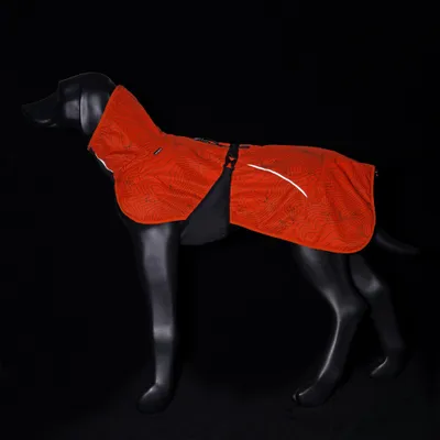 Un modello di cane nero indossa un mantello arancione brillante con motivo e striscia riflettente, fissato lateralmente con una cintura.