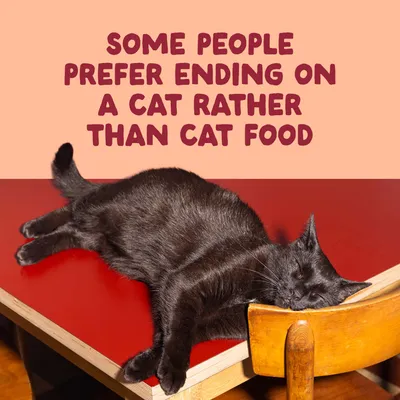 Edgard & Cooper Filets pour chat adulte 24 x 70 g - poulet Edgard & Cooper Filets pour chat adulte 24 x 70 g - poulet