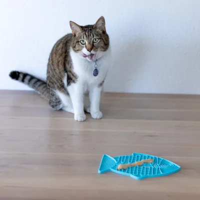 Katze sitzt vor einer blauen Fisch-förmigen Schleckmatte mit Futter darauf, zeigt Anwendung des Produkts.