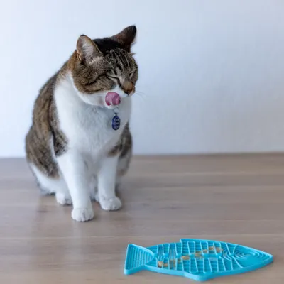 Katze leckt sich das Maul neben einer blauen Fisch-förmigen Futtermatte mit kleinen Futterstücken darauf.