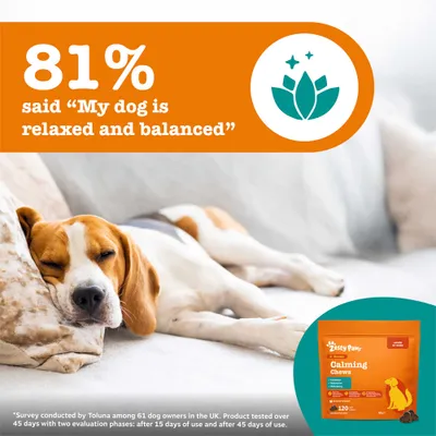 El 81% afirmó: "Mi perro está relajado y equilibrado". Zesty Paws Calming Chews, paquete ilustrado. Encuesta realizada a 61 dueños de perros en el Reino Unido. El 81% afirmó: "Mi perro está relajado y equilibrado". Zesty Paws Calming Chews, paquete ilustrado. Encuesta realizada a 61 dueños de perros en el Reino Unido.