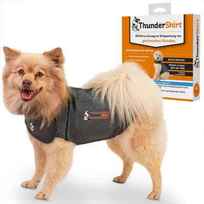 ThunderShirt Beruhigungsweste für gestresste Hunde. Effektive Lösung bei Stress, Angst und lauten Geräuschen. Grösse XS bis XL verfügbar. Sanfte Methode, wissenschaftlich belegt.