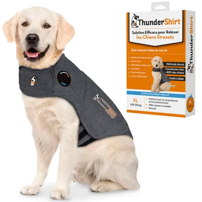 Gilet ThunderShirt gris porté par un chien, boîte visible : Solution efficace pour relaxer les chiens stressés, XL 29–50 kg, méthode douce, fonctionne chez +80% des chiens, facile à utiliser.