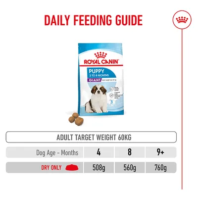 Feeding table for Royal Canin Puppy Giant: Target weight 60 kg, dry food quantity at 4 months 508 g, 8 months 560 g, from 9 months 760 g daily. Feeding table for Royal Canin Puppy Giant: Target weight 60 kg, dry food quantity at 4 months 508 g, 8 months 560 g, from 9 months 760 g daily.