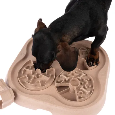 Hund nosar på beige aktivitetsbräda med tre snurrbara sektioner i olika labyrintmönster. Hunden är svartbrun och står med ena tassen på brädan.