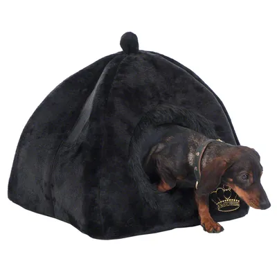 Schwarzes Haustierhaus aus Plüsch mit rundem Eingang, dekorativer Krone und einem kleinen Hund, der herauskommt.