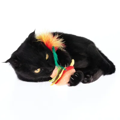 Chat noir avec un jouet en forme de hamburger décoré de plumes rouges, jaunes et vertes. Jouet en tissu visible.